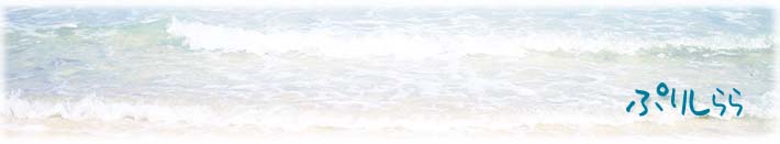 ぷりしらら(大航海時代、おいでよどうぶつの森、ニンテンドーDS、ポストペットなどの紹介です)