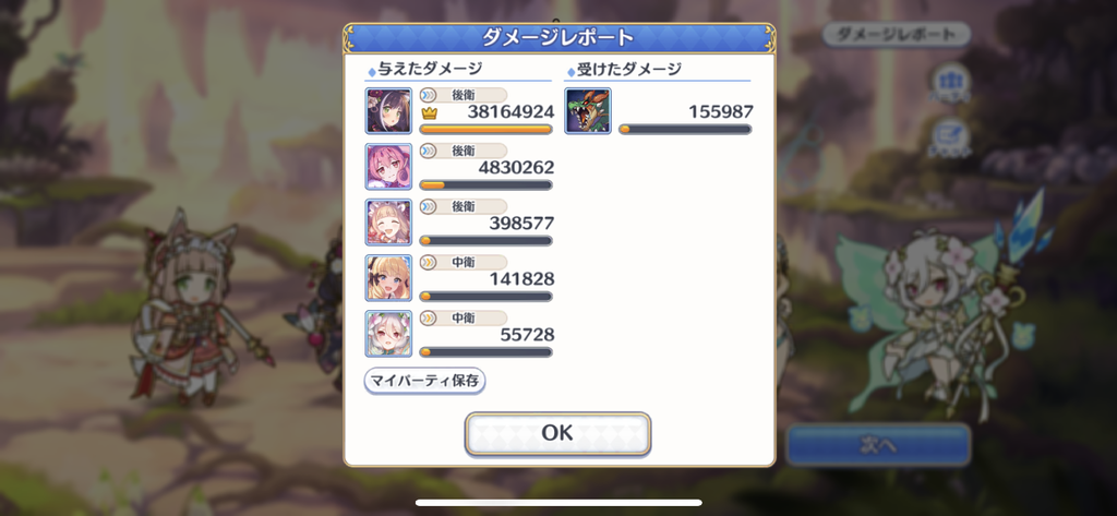ダメージレポート