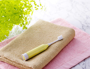 brush