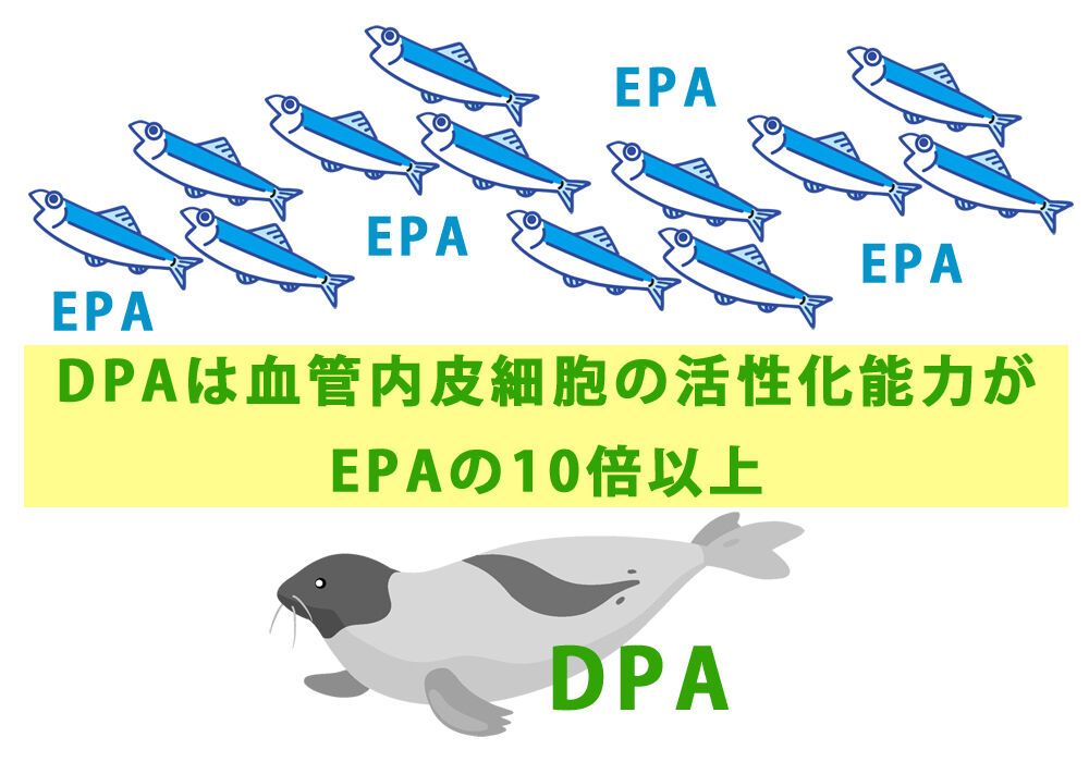 ¥¿¥Æ¥´¥È¥¢¥¶¥é¥·¤ÈµûÎà