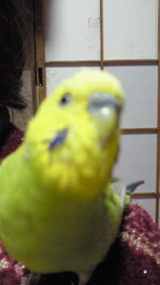 288587ae.jpg