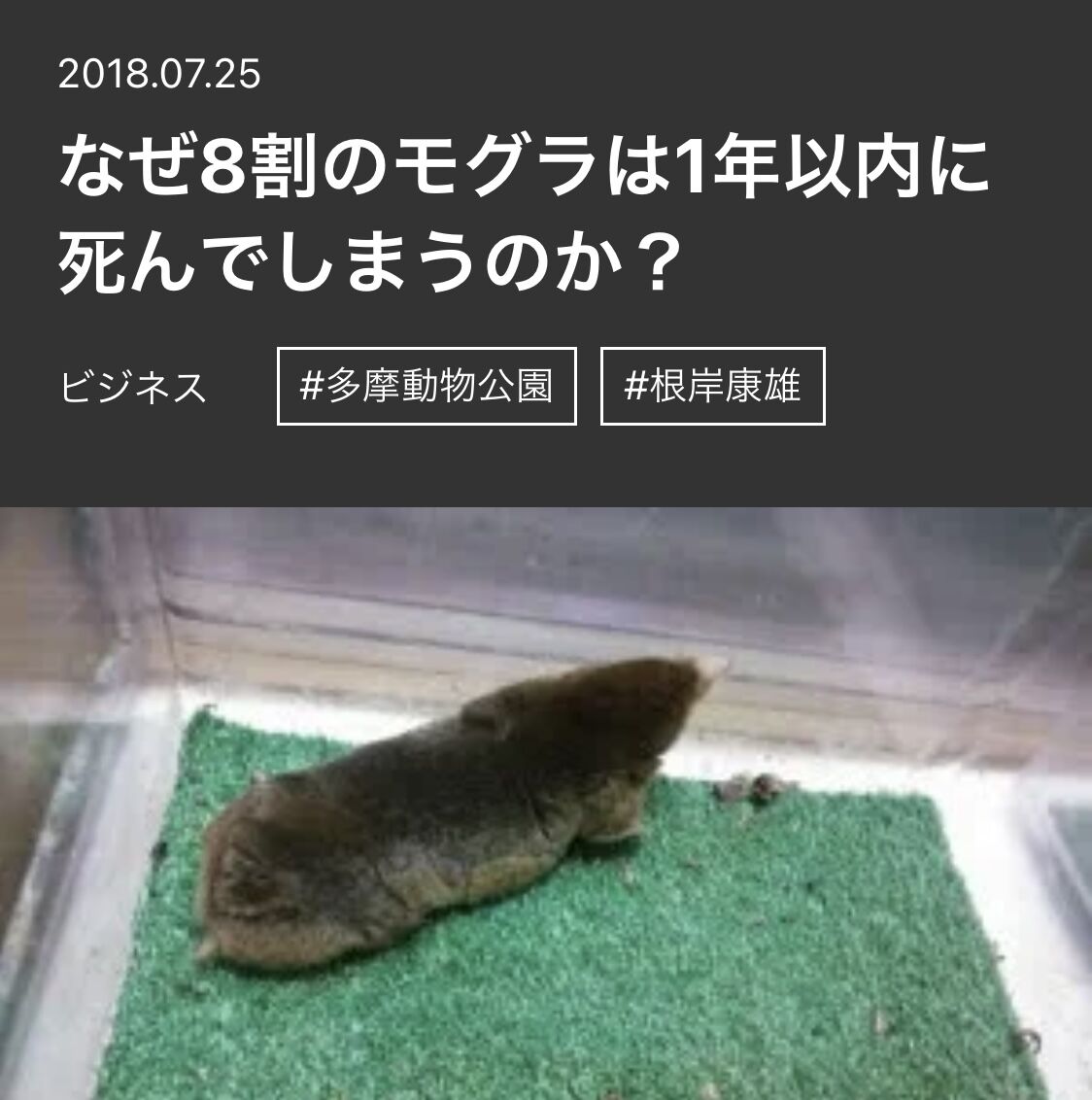 飼育下のモグラの寿命が伸びたというお話 ものぐさとかげ日記