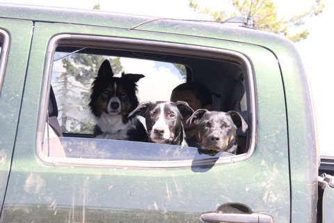 10574446_10203652403143560_3000941457750257075_n