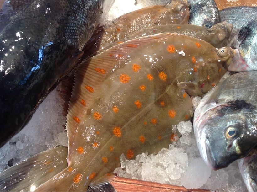 保存版イギリスでよく食べる魚の図鑑ー解説付き ロンドンのプリムローズヒルの魚屋 プリヒル姉さんのブログ