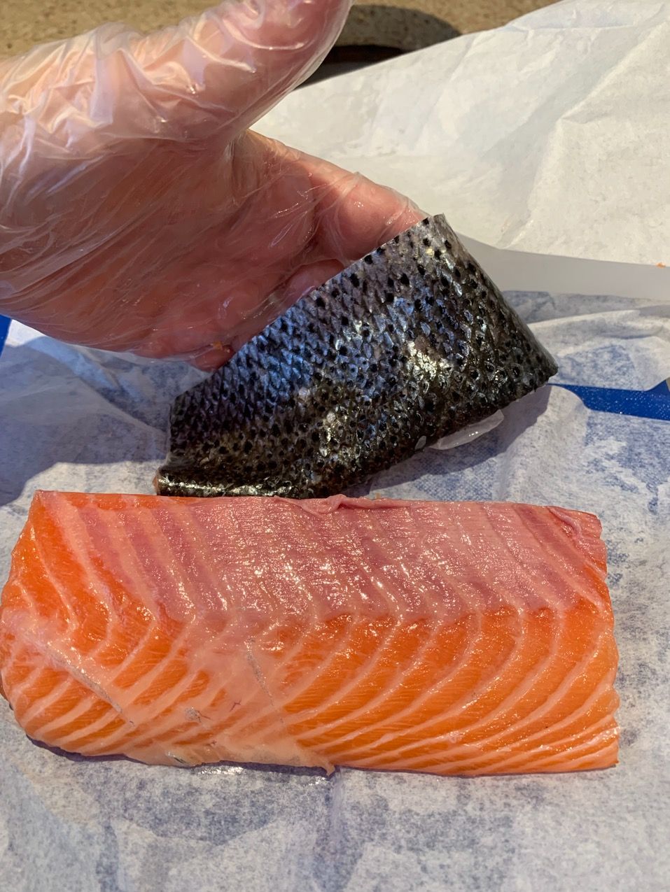 魚の部位を英語で何と言う Byロンドンの魚屋 ロンドンのプリムローズヒルの魚屋 イギリス生活 魚の部位を英語で何と言う Byロンドンの魚屋 ロンドンのプリムローズヒルの魚屋 イギリス生活