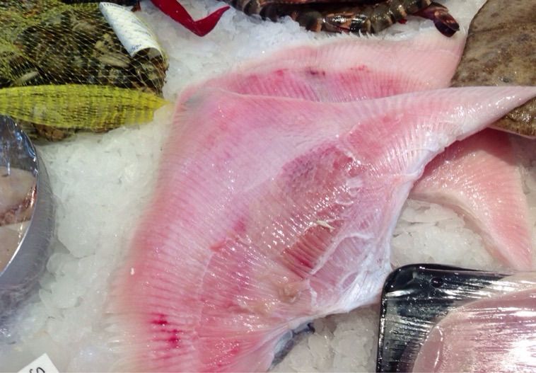 エイヒレ食べてみませんか お買い物です ロンドンのプリムローズヒルの魚屋 イギリス生活