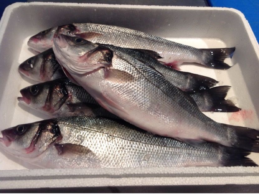 保存版イギリスでよく食べる魚の図鑑ー解説付き ロンドンのプリムローズヒルの魚屋 イギリス生活