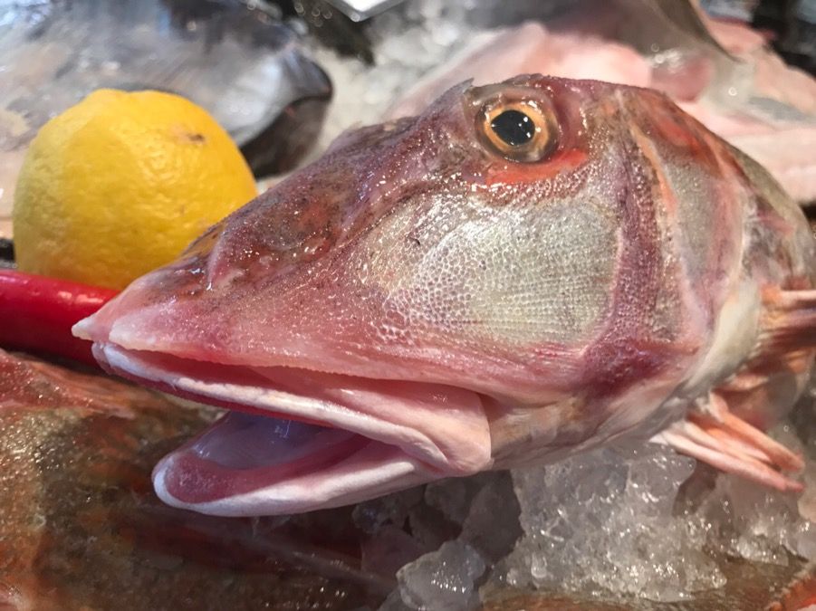 プリヒル姉さん全力で阻止する間違った食べ方 商品について ロンドンのプリムローズヒルの魚屋 イギリス生活