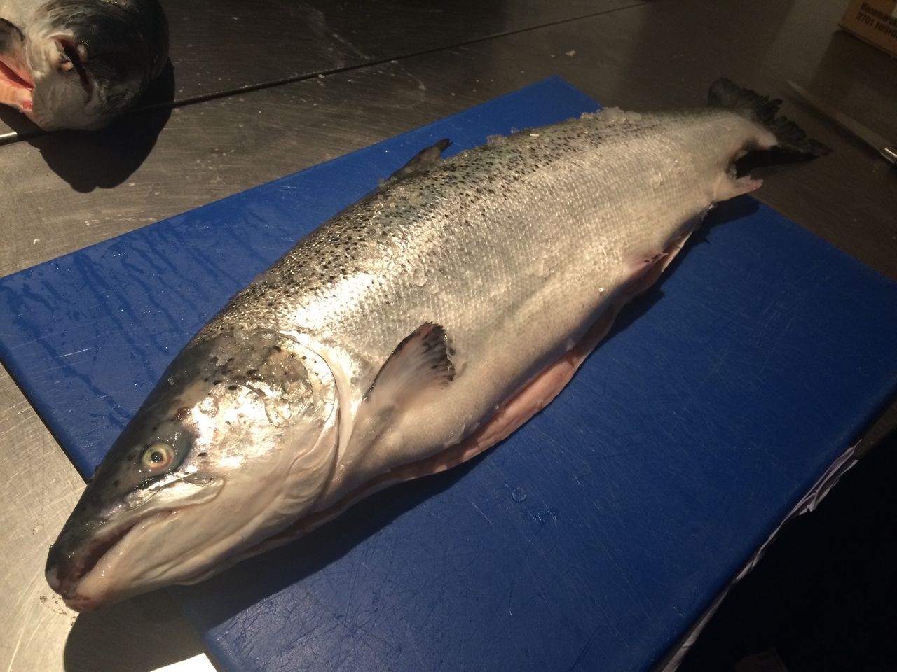 プリムローズヒルの魚屋の お魚図鑑 第二弾 ロンドンのプリムローズヒルの魚屋 イギリス生活 プリムローズヒルの魚屋の お魚図鑑 第二弾 ロンドンのプリムローズヒルの魚屋 イギリス生活
