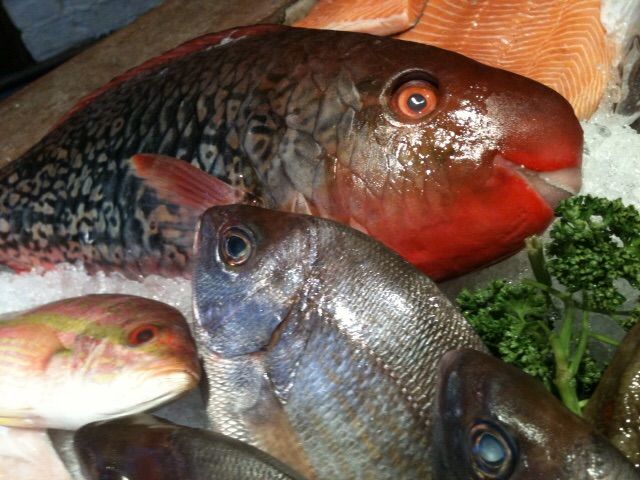 ロンドン プリムローズヒルの魚屋が銀ダラについて物申す ロンドンのプリムローズヒルの魚屋 イギリス生活 ロンドン プリムローズヒルの魚屋が銀ダラについて物申す ロンドンのプリムローズヒルの魚屋 イギリス生活