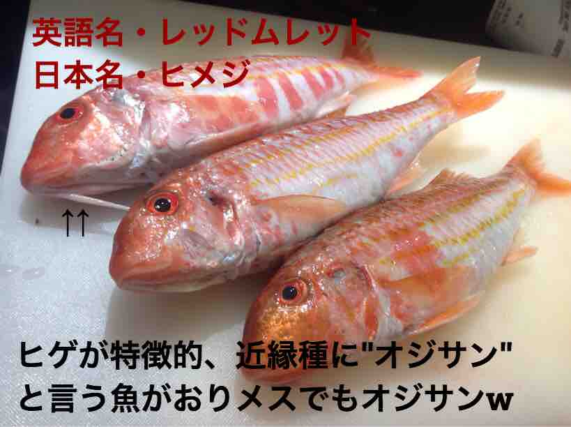 イギリスで食べられるお魚の英語名と日本語名 ロンドンのプリムローズヒルの魚屋 プリヒル姉さんのブログ