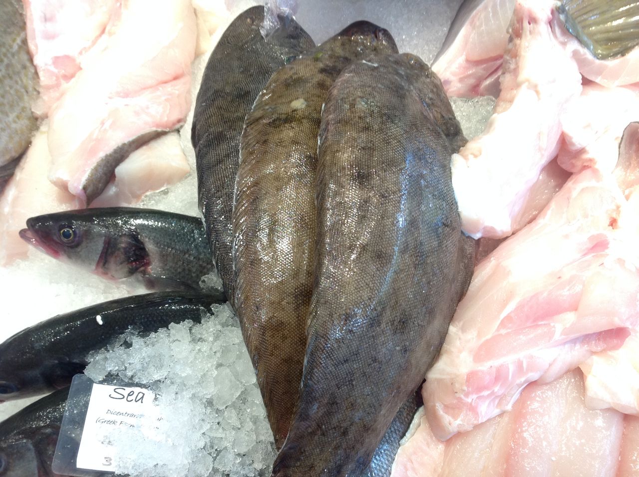 プリムローズヒルの魚屋の お魚図鑑 第二弾 ロンドンのプリムローズヒルの魚屋 イギリス生活
