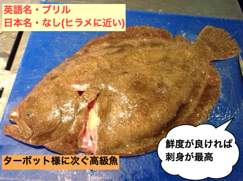 辞書で引く魚の名前と実際に出て来た魚が違うイギリス編 ロンドンのプリムローズヒルの魚屋 イギリス生活
