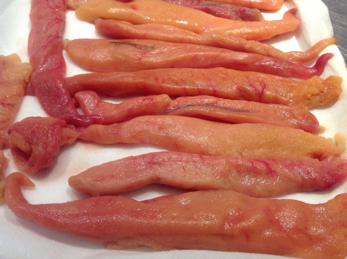 ロンドン魚屋 いろんな魚卵試してみました ロンドンのプリムローズヒルの魚屋 イギリス生活