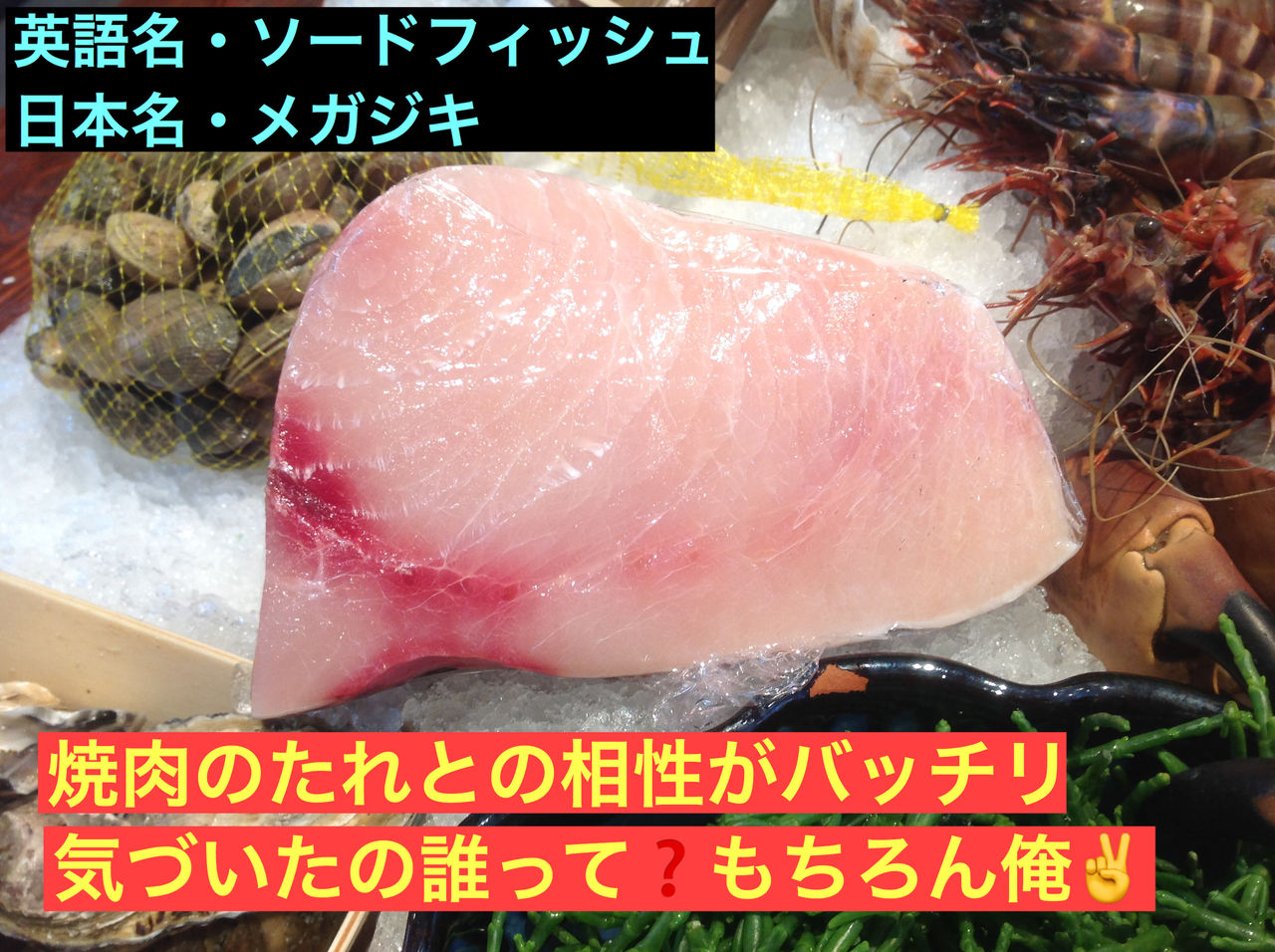 保存版 ロンドンのプリムローズヒルの魚屋のイギリスで食べられるお魚図鑑 ロンドンのプリムローズヒルの魚屋 プリヒル姉さんのブログ 保存版 ロンドンのプリムローズヒルの魚屋のイギリスで食べられるお魚図鑑 ロンドンのプリムローズヒルの魚屋 プリヒル姉さんのブログ