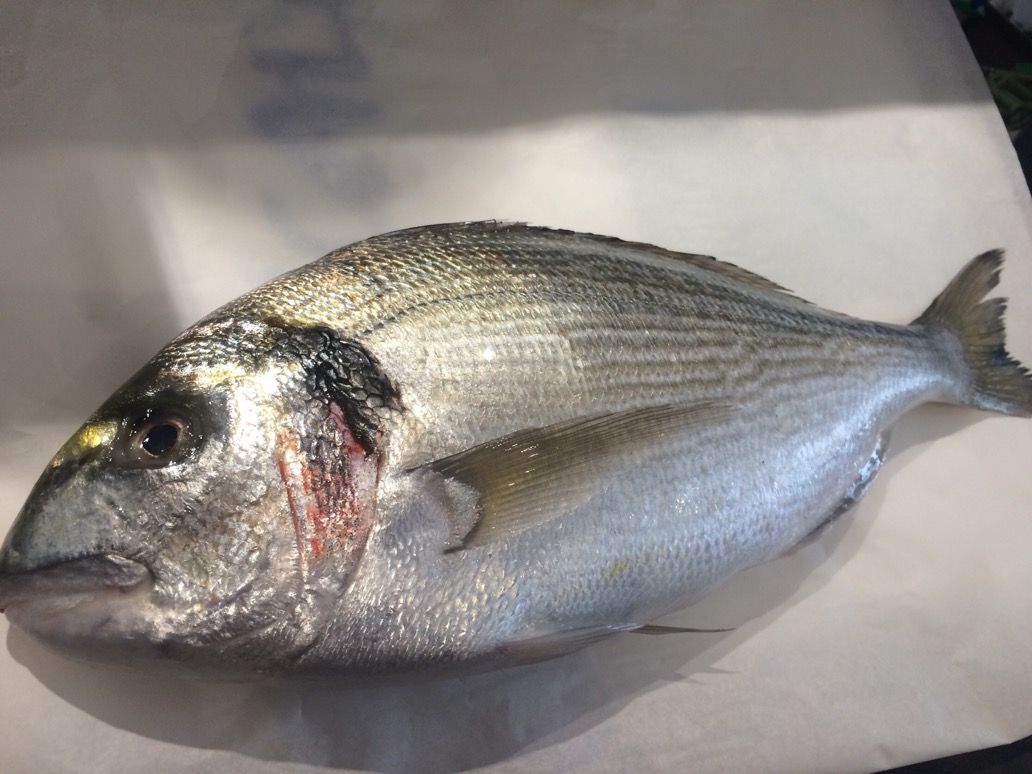 保存版 イギリスで食べられるお魚図鑑 後半 ロンドンのプリムローズヒルの魚屋 イギリス生活