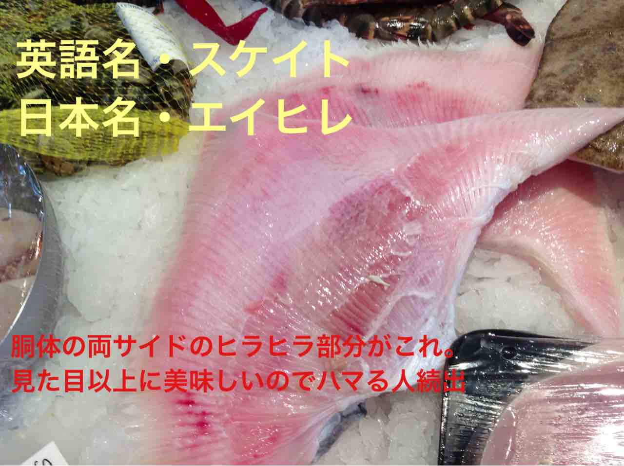 イギリスで食べられるお魚の英語名と日本語名 ロンドンのプリムローズヒルの魚屋 プリヒル姉さんのブログ