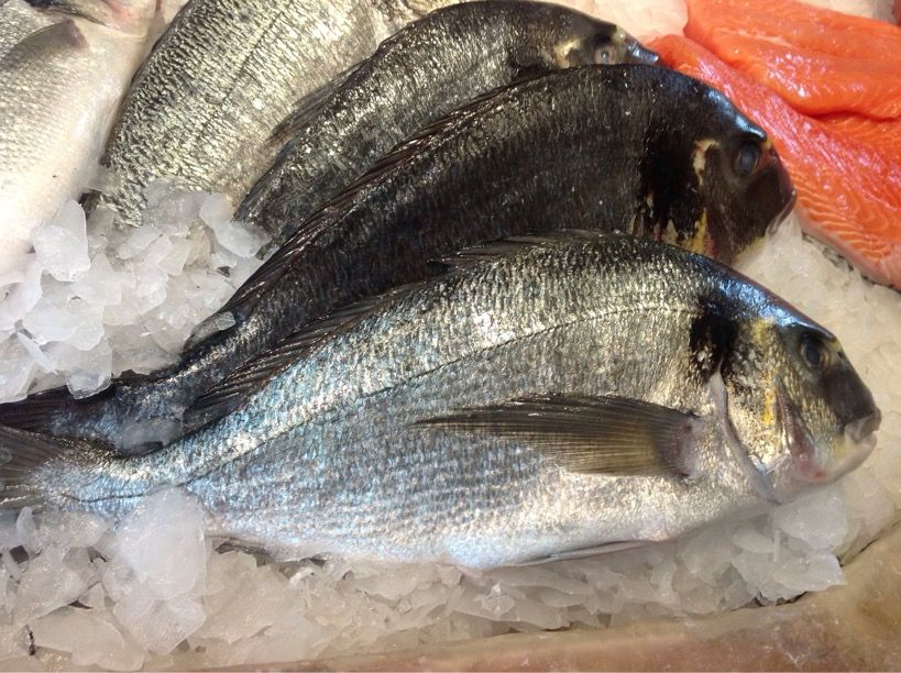 保存版イギリスでよく食べる魚の図鑑ー解説付き ロンドンのプリムローズヒルの魚屋 イギリス生活 保存版イギリスでよく食べる魚の図鑑ー解説付き ロンドンのプリムローズヒルの魚屋 イギリス生活