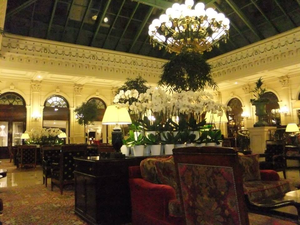 カフェ ド ラペのミルフィーユ ましゅまろ王子の世界旅行