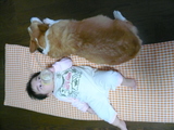 yura-purin