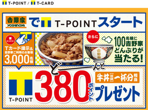 T-gyudon