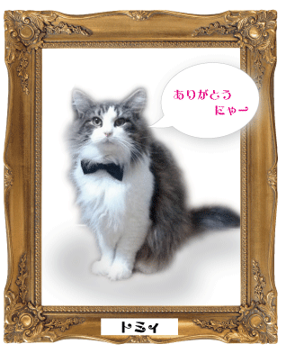2013年もご利用くださり、誠にありがとうございます。