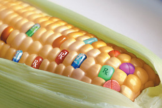 pharmcorn