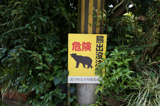 危険 熊出没注意