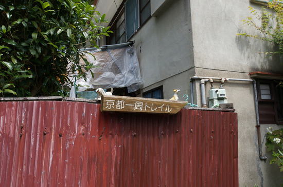 京都一周トレイル看板と犬