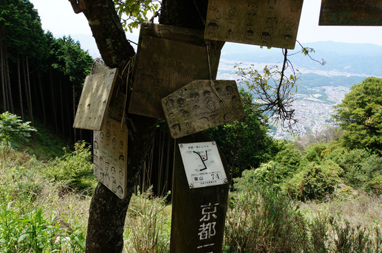 東山74