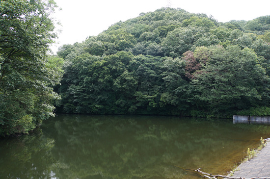 辻の新池