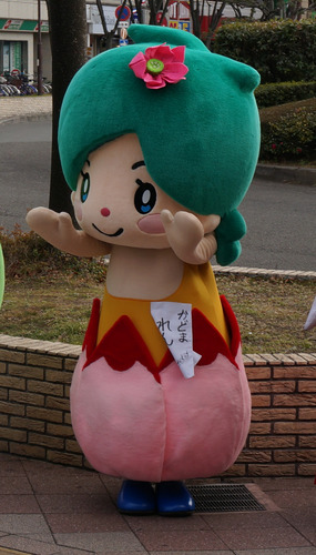 蓮ちゃん