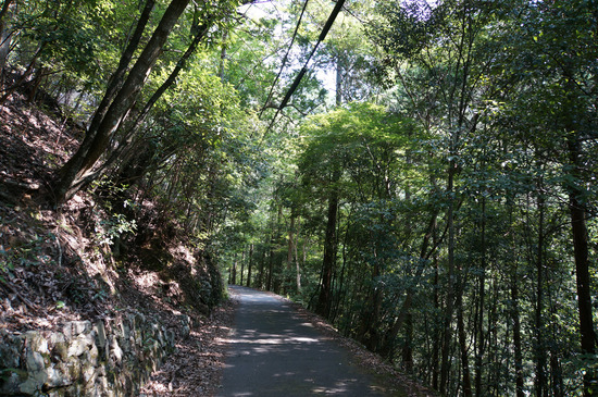 舗装された道