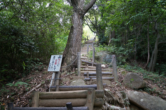 激しい階段