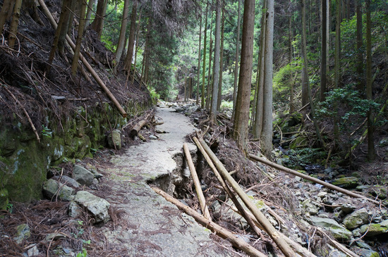 崩れそうな道