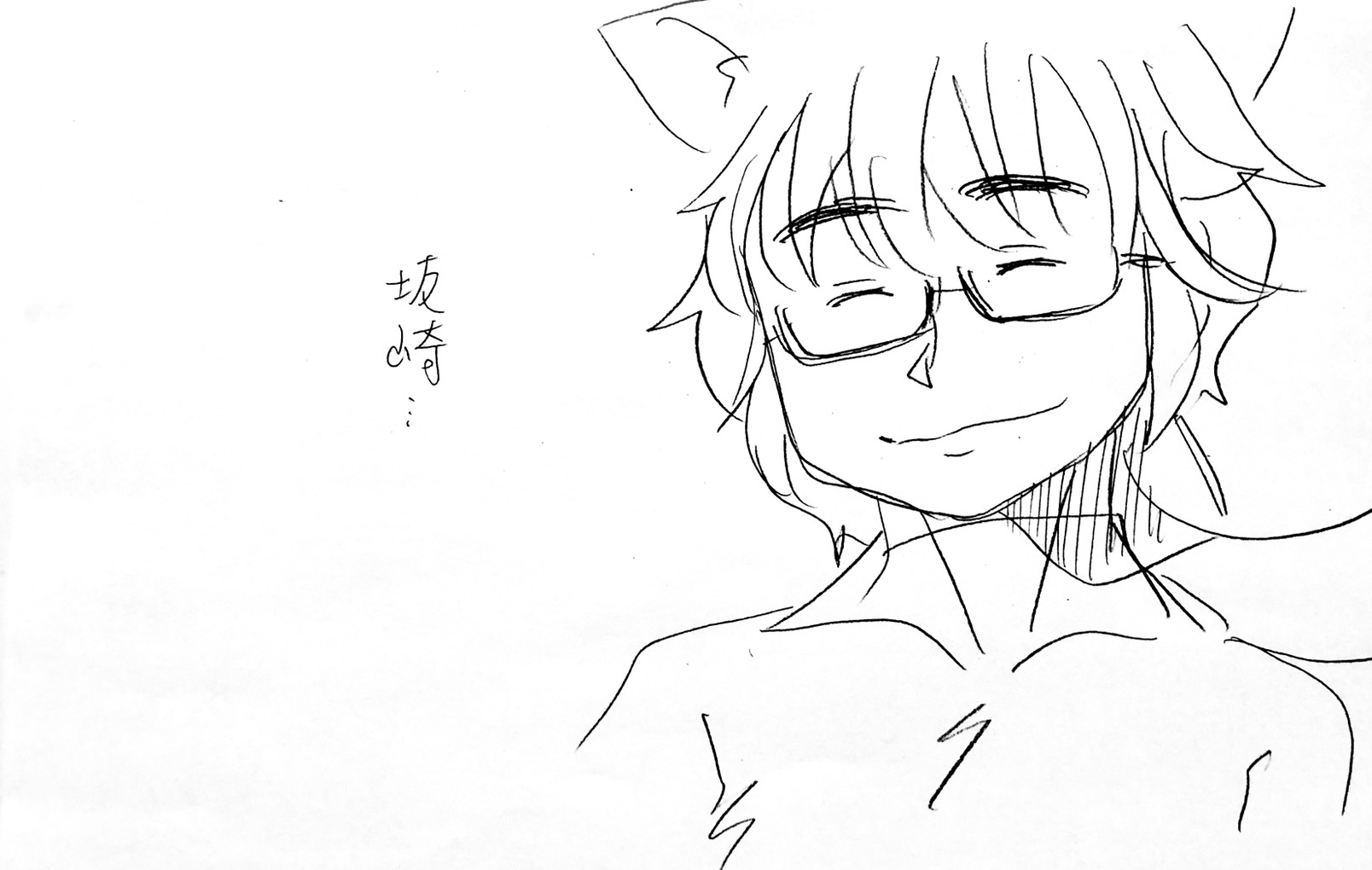 呪われ猫のインシデント詳細5