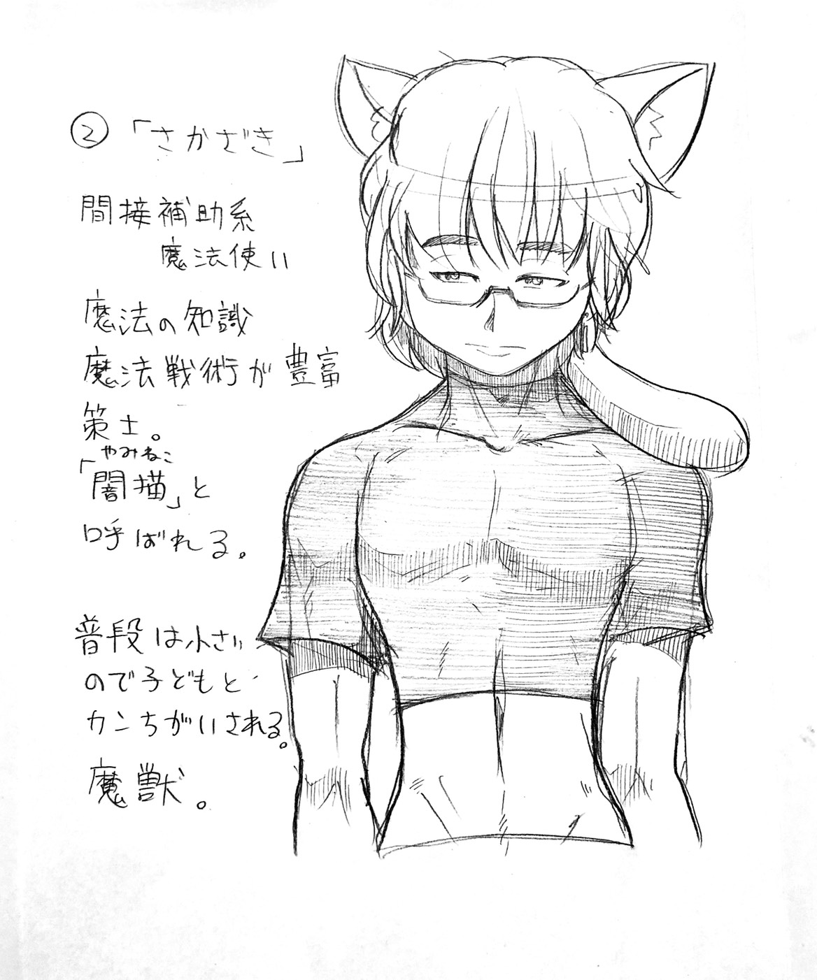 呪われ猫のインシデントのキャラ紹介坂崎