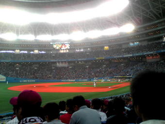 ぼーん分解記。