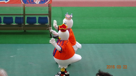 alb20150322(17)