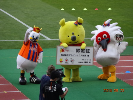 alb2014.08.23(6)