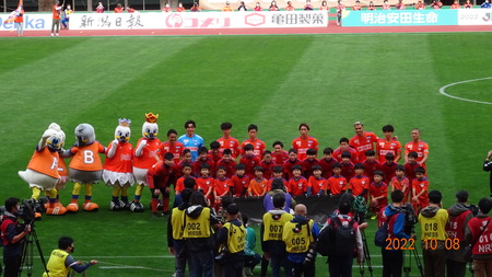 �����2022.10 (28)