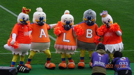 �����2022.10 (10)