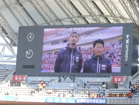 alb2014.05.06(12)