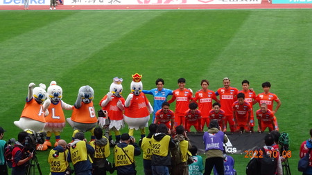 �����2022.10 (29)