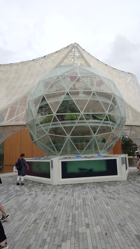 大阪関西万博_20250811 (12)