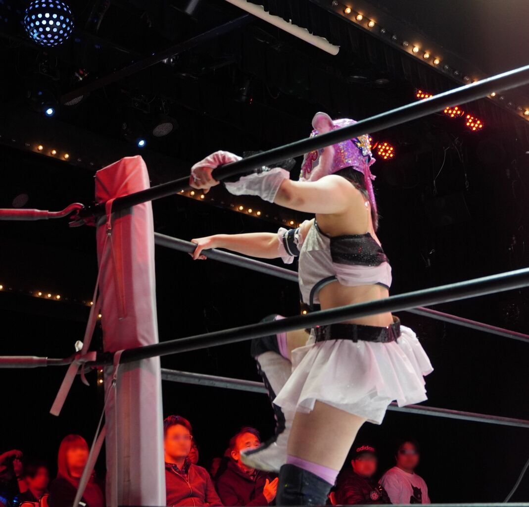気ままなプロレスニュース pro_wrestling_m テレビで観ると『鹿島沙希』コメントコメントする