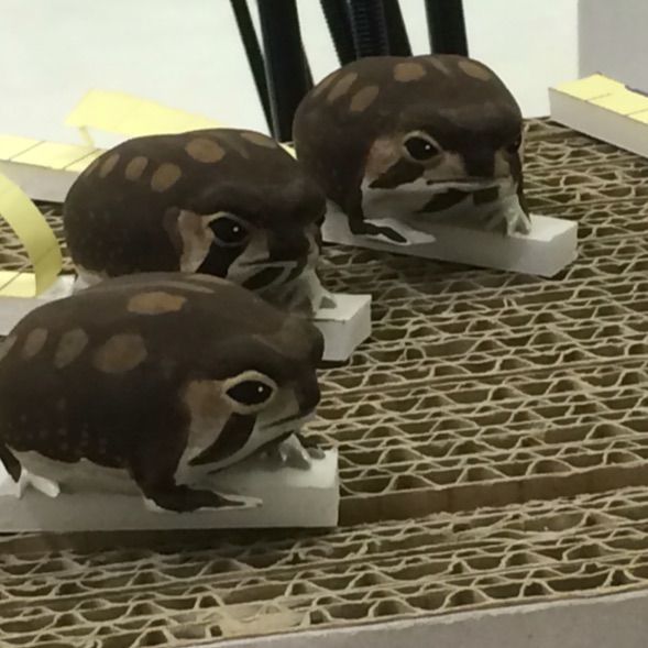 きなこまぶしわらびもちカエル 日進月歩 頑固完徹 プロぼっち きなこまぶしわらびもちカエル 日進月歩 頑固完徹 プロぼっち