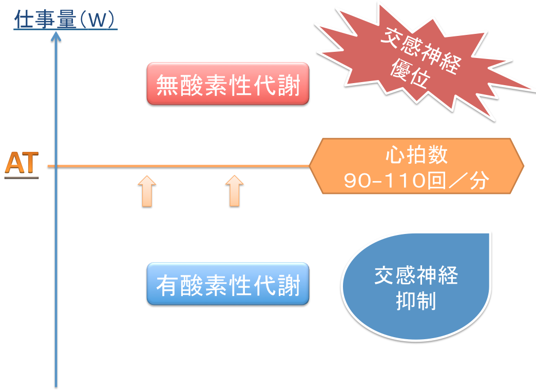 自律神経を鍛える Part 3 Professional Life