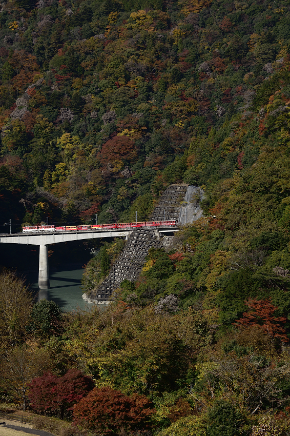 _DSC0474