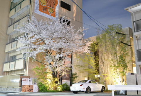 スクリーンショット 2025-04-06 13.05.15